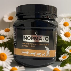 Quebeck Norma-Q probiotikus bélflóra stabilizáló 50g